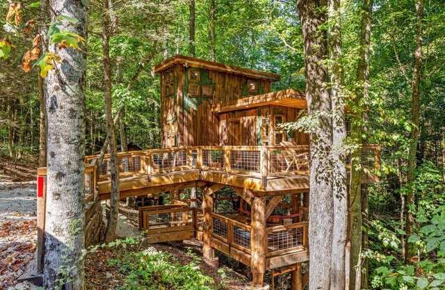 Treehouse - Amazonia - Red River Gorge, KY