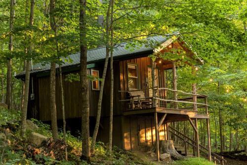 Treehouse Cabin in Riverton, WV
