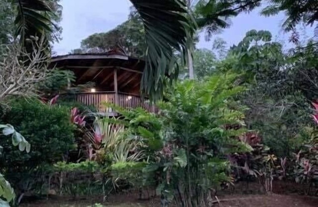 treehouse