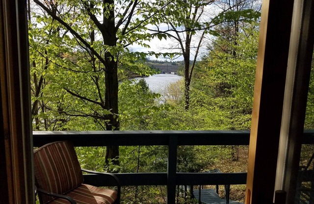 Treehouse type cottage in private location - Pet friendly!