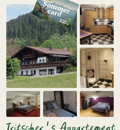 Tritscher's Appartement Ramsau Dachstein