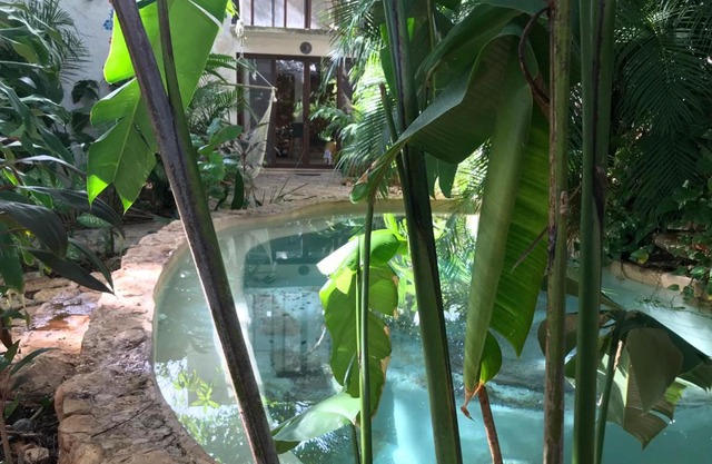 Tropical Cenote Loft North City 420