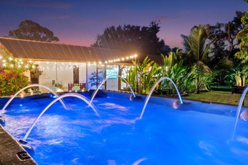 Tropical Oasis with Heated Hydrotherapy Swim Spa