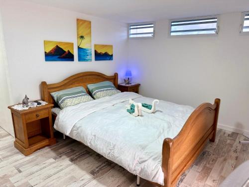 Tropical Studio in Willemstad