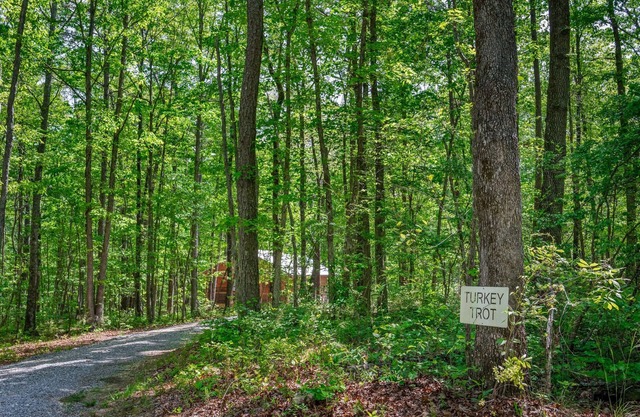 Turkey Trot-cozy cabin w/hot tub & fire pit