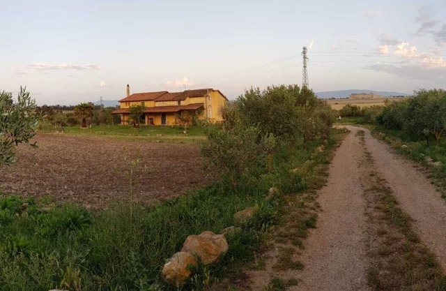 Tuscan type farmhouse, nestled in a hectare of countryside, but a few km from Oristano