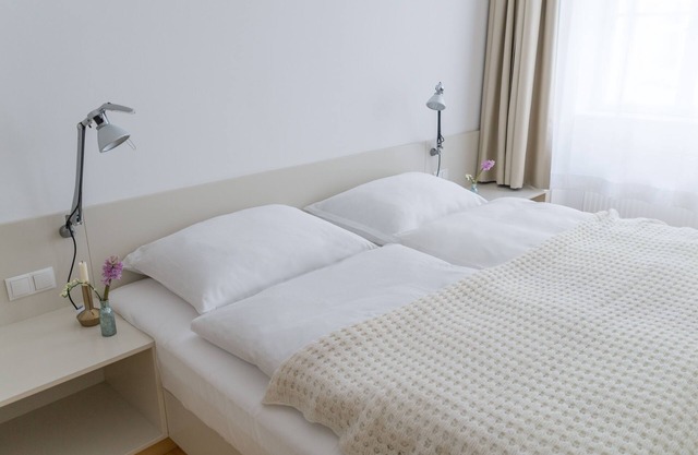 Two chic typical Viennese City apartments in the Karmeliterviertel