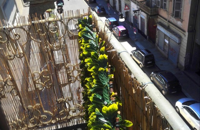 Two-room apartment in the heart of Turin