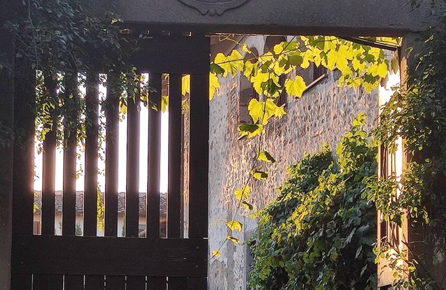 Typical house in Tuscany country, in the nature, only 40' to Florence