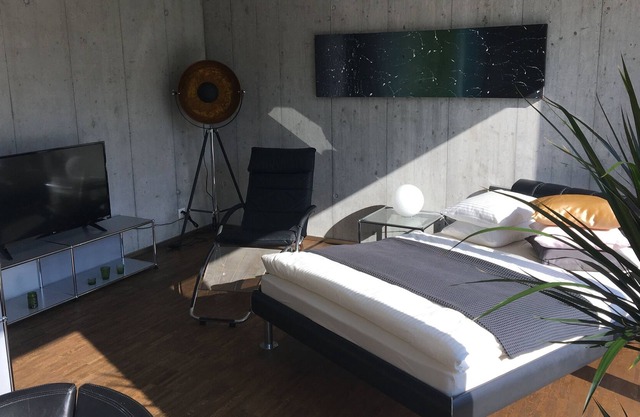 Uetikon am See - studio