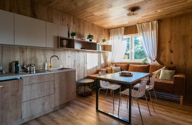 Unique Lipno Apartment