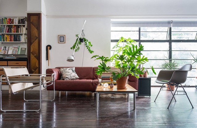 Unique Oasis in East London for Design Lovers