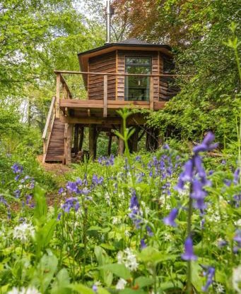 Unique Secluded Romantic Treehouse in Cornwall, sleeps 2