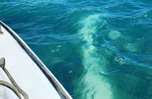 Unique stay aboard 40ft Sailing Yacht