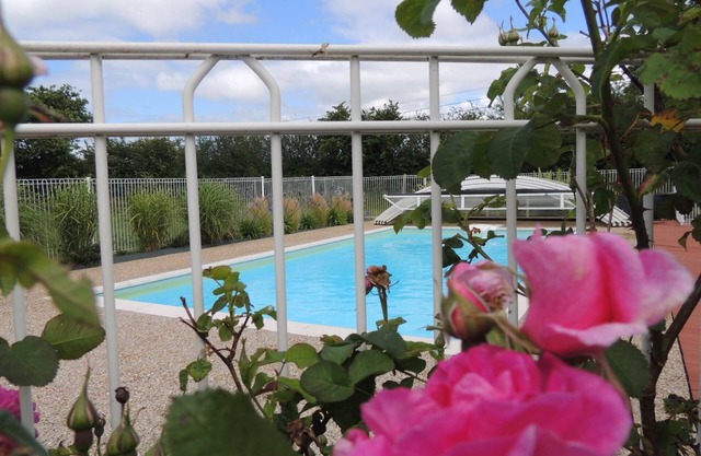 Unusual stay in the heart of the landing beaches, in the middle of animals