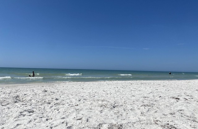 Updated family friendly house, w/elevator and hot tub, easy walk to the beach!