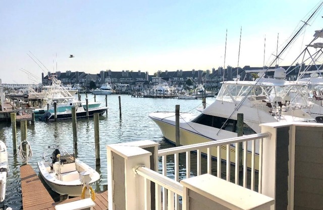 Upscale Clean Bayfront Townhouse with 4 Balconies, 14th Street