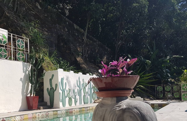 Urban retreat in villa with pool, surrounded by nature in the middle of town