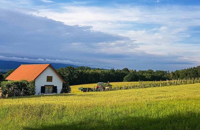 Urlaub am Kinispa