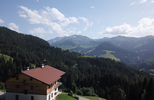 Vacation apartment/apartment for 4 guests with 46m² in Oberau Wildschönau (153431)