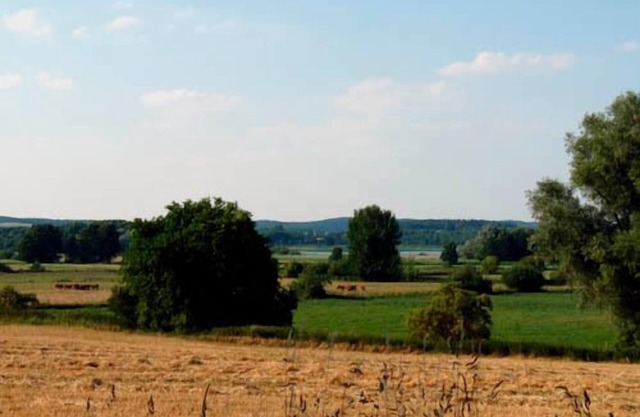 Vacation apartment/apartment for 4 guests with 50m² in Vollrathsruhe (155873)