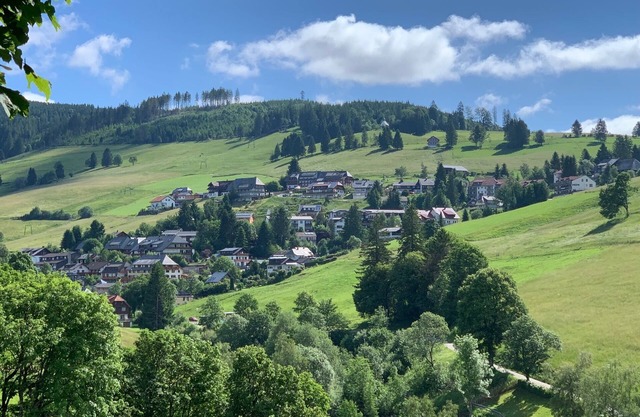 Vacation apartment Todtnauberg