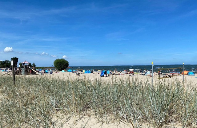 Vacation apartment/apartment for 2 guests with 29m² in Ueckermünde (92384)