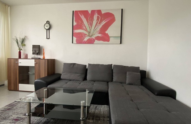 Vacation apartment Mainz City