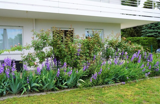 Vacation apartment Silvaner-Laube B