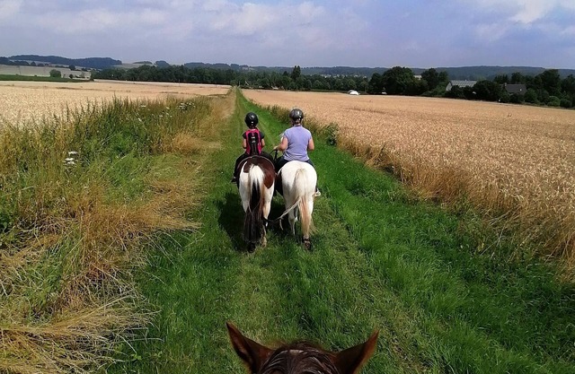 Vacation farm for young and old - pony time - time out - country life