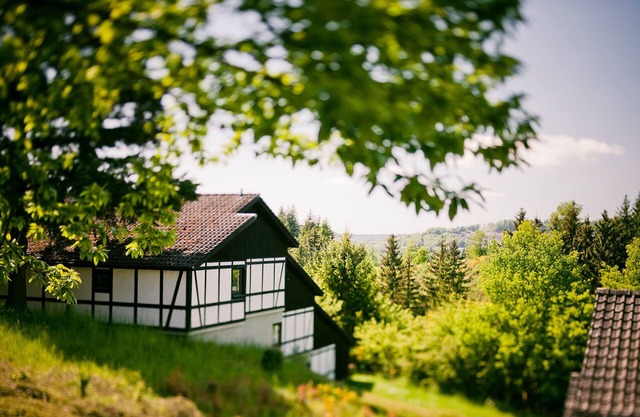 Vacation home for 7 guests with 95m² in Daun (127703)