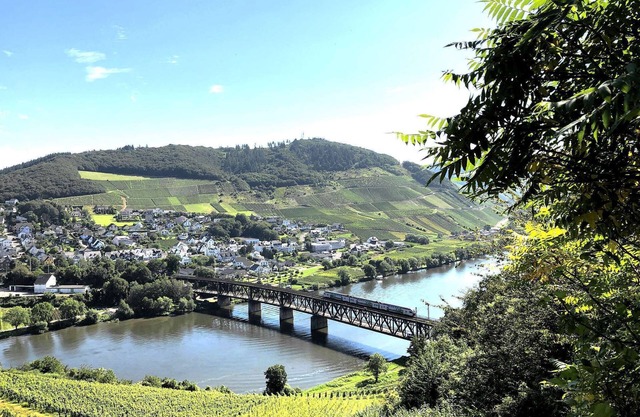 Vaction on the Moselle