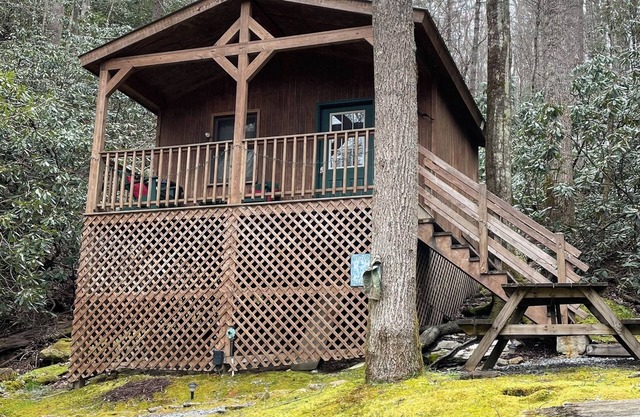 Valle Crucis Farm Cabin Rental is Pet friendly. Perfect Vacation spot!