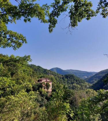 Vegan bed and breakfast Colle della luna