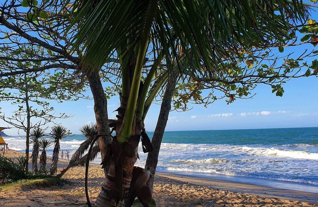 Velutti Maldivas - Penha - SC