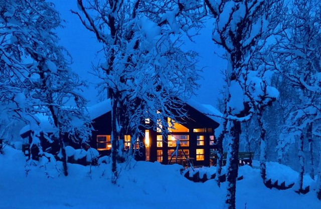Venehovda - cabin at 1000 masl