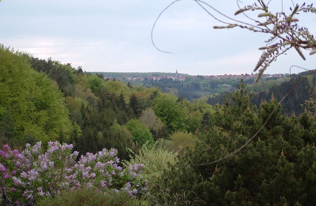 Very pleasant well equipped gîte for 12 in the heart of the northern Vosges