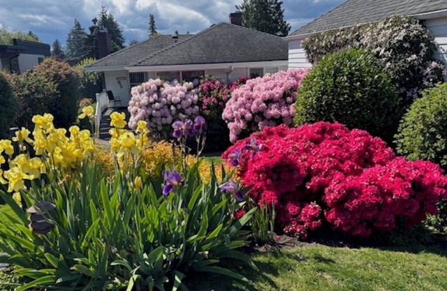 View Home - West Seattle, 31 day min., Puget Sound, Parks & Bus/Ferry Close By