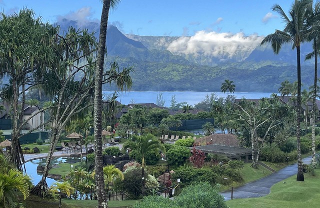View, Views, Views, Studio King Bed Views of Hanalei Bay, Lagoon pool from condo