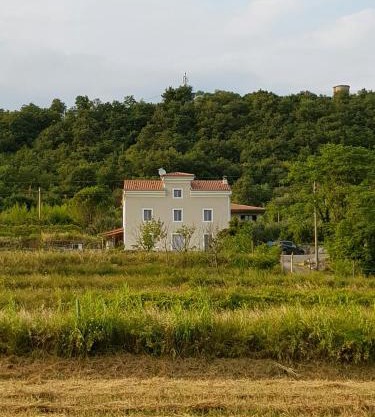 Vila Flora