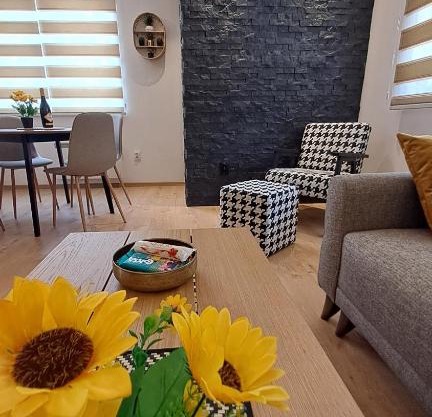 Vila Jahor Apartmani JET SET Lux