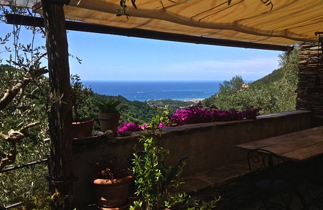 Villa among olive trees with sea view