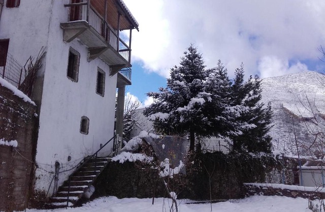 Villa Artemis and apartments