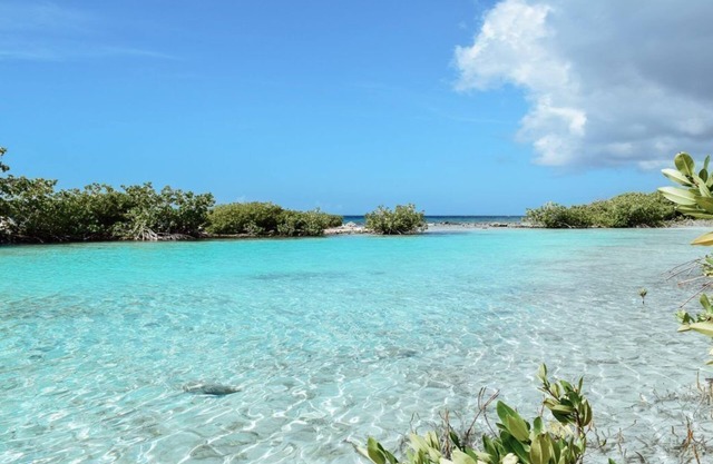 Villa Blenchi. Luxe Villa met Privézwembad: Beleef het Beste van Curaçao!