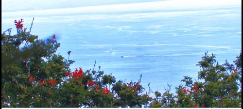 Villa con inmejorables vistas al oceano y la Gomera