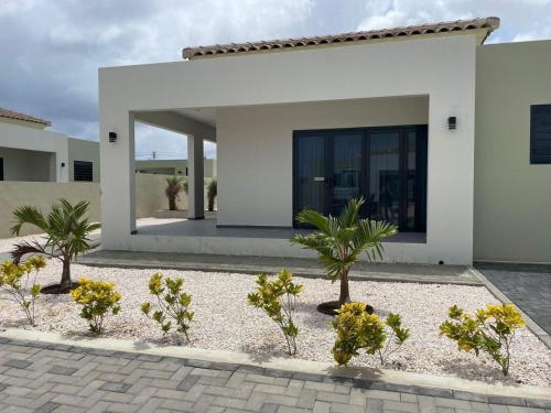 Villa Cuarenta-Y-Tres, Mambo Beach