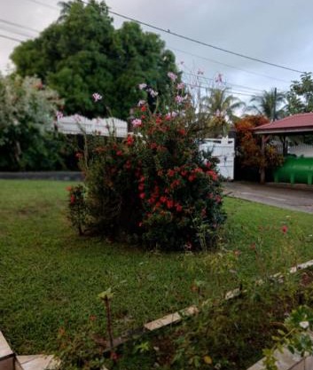 Villa hibiscus