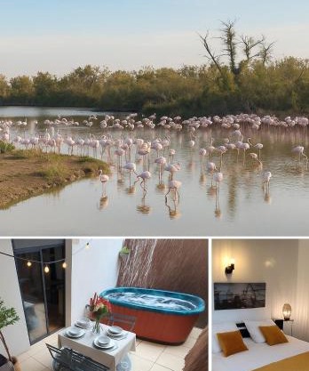 Villa l'Eden de Camargue- Spa et Nature