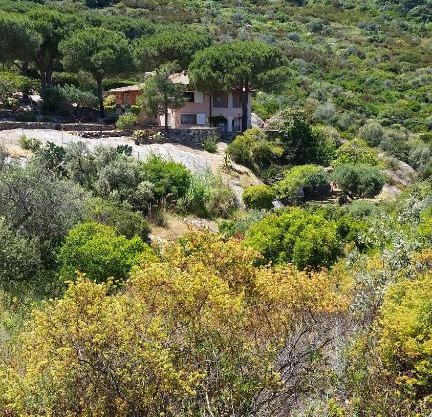 Villa Laura Aegilium