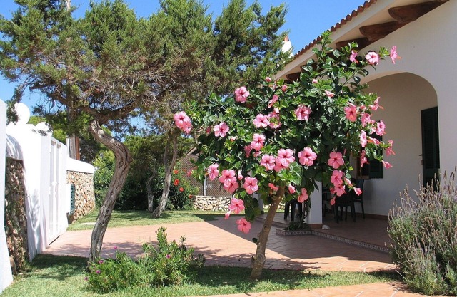 Villa With Private Pool Well Located
